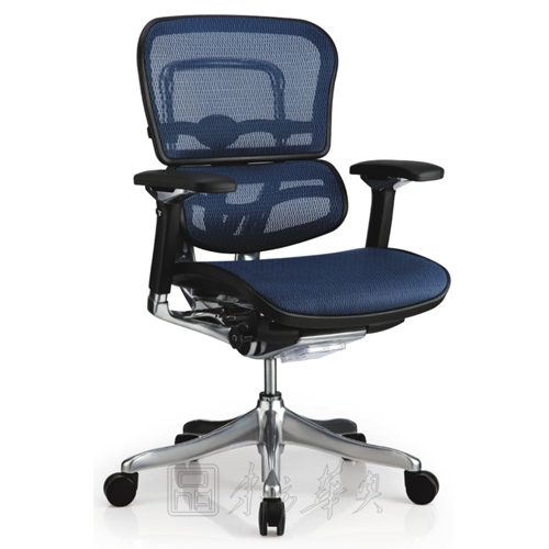 Office Chair|Mesh Medium Back Chair|Office Furniture|Mesh Medium Back Chair|�����а��� CG-LAB-LAM
