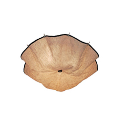 FLOS Celestia Ceiling Lamp ����ɡ����������CG-X697_�칫�Ҿ�_������_�ִ��������